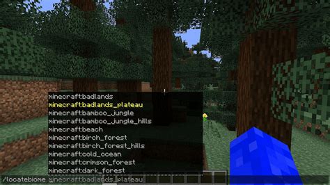 minecraft find village command